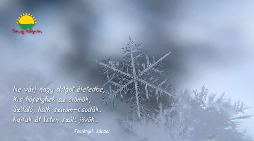 Reményik Sándor: Csendes csodák
