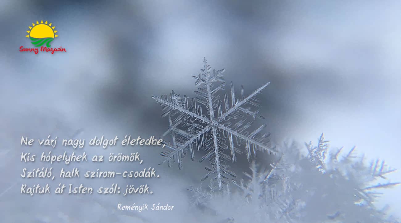 Reményik Sándor: Csendes csodák