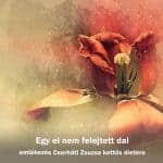 Egy el nem felejtett dal – emlékezés Cserháti Zsuzsa kettős életére
