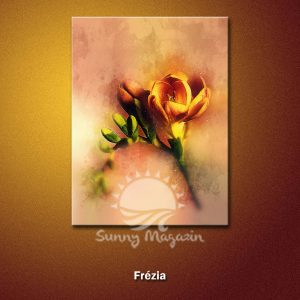 Frézia – vászon falikép