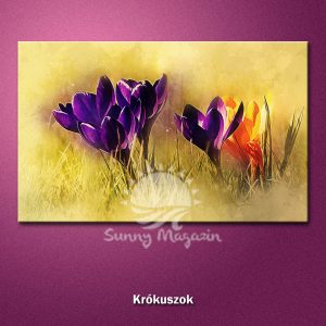 Krókusz – nyomtatott vászon falikép