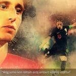 Modric aranylabda