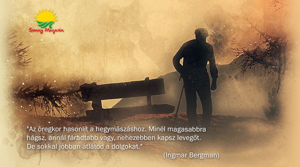 Idősek Világnapja