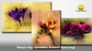 Nőnapi Nyereményjáték