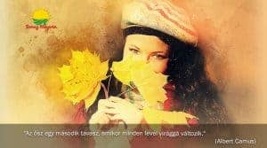 Őszi ruhatár